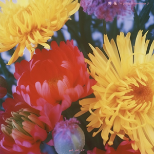 跪床上去自己把屁股扒开视频
